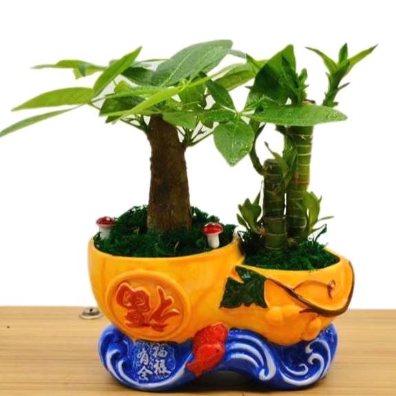 一生有李