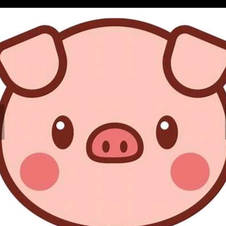 🐷小猪仔🐷