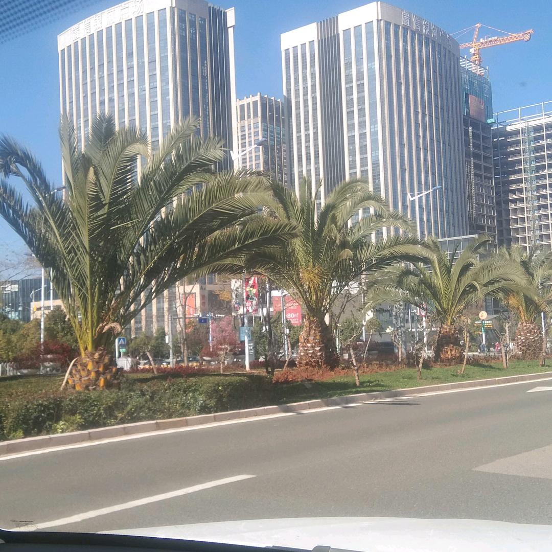 活在当下，顺其自然