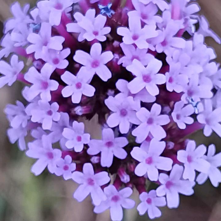 改改姐
