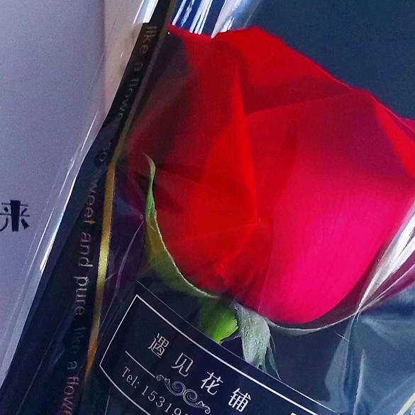 小红🪷