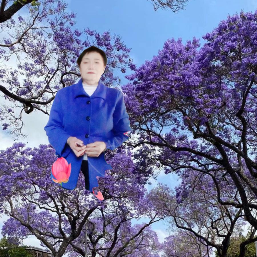 柳珍