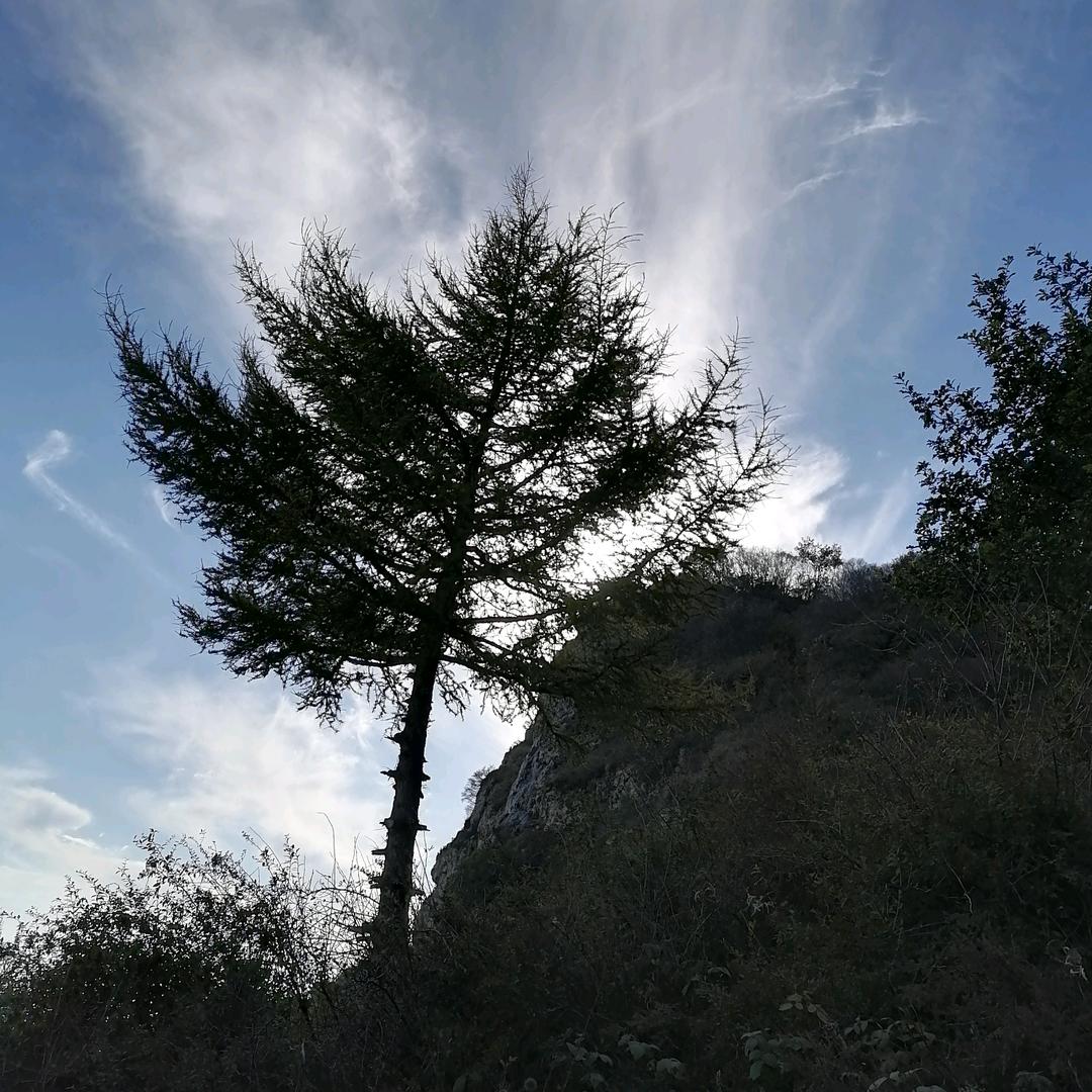 ꧔ꦿ᭄💞刘刘大顺໑ຼ₀₂₃💕