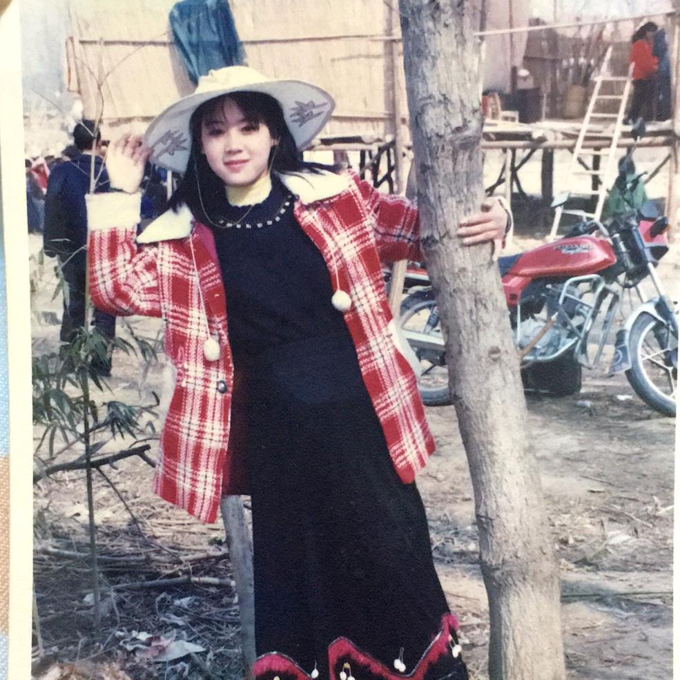 红菊