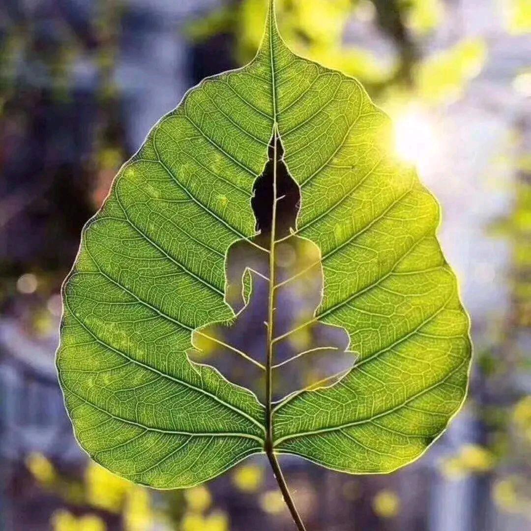 岁月悠悠