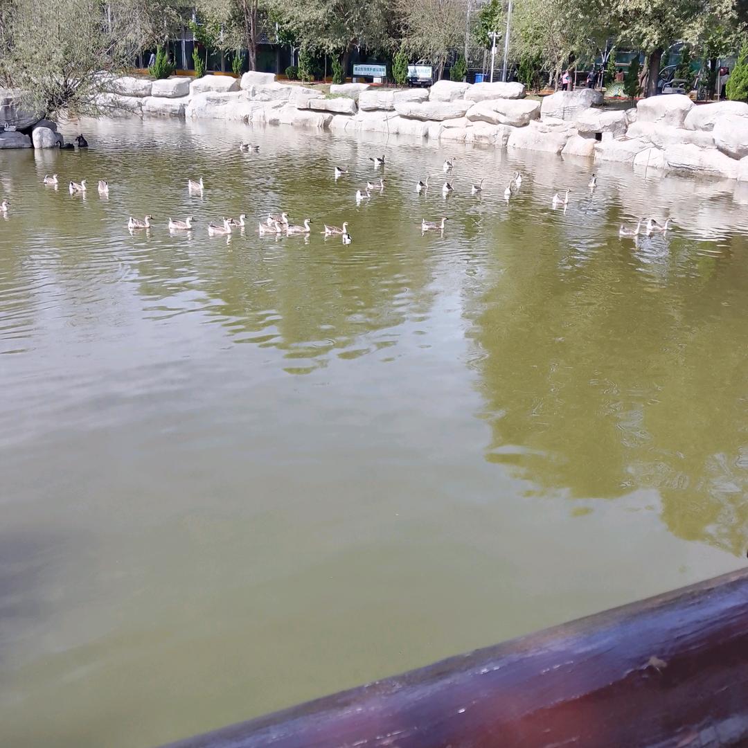 明天更好