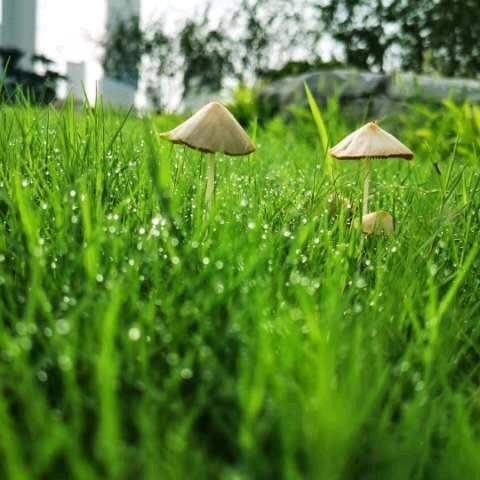 星星⭐️的乐园