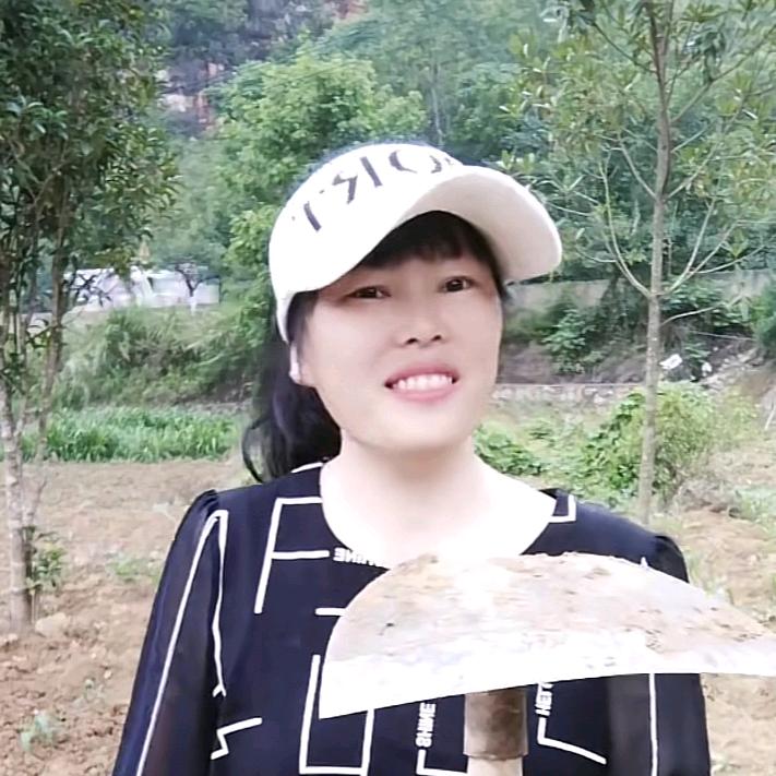 杨家小妹《不定时开播》