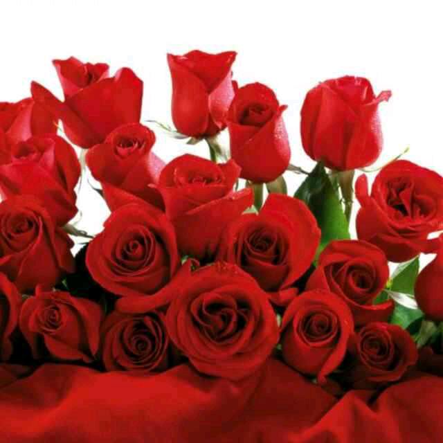 🌹玫瑰留香 🌹