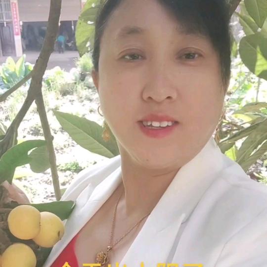 开心果罗老三