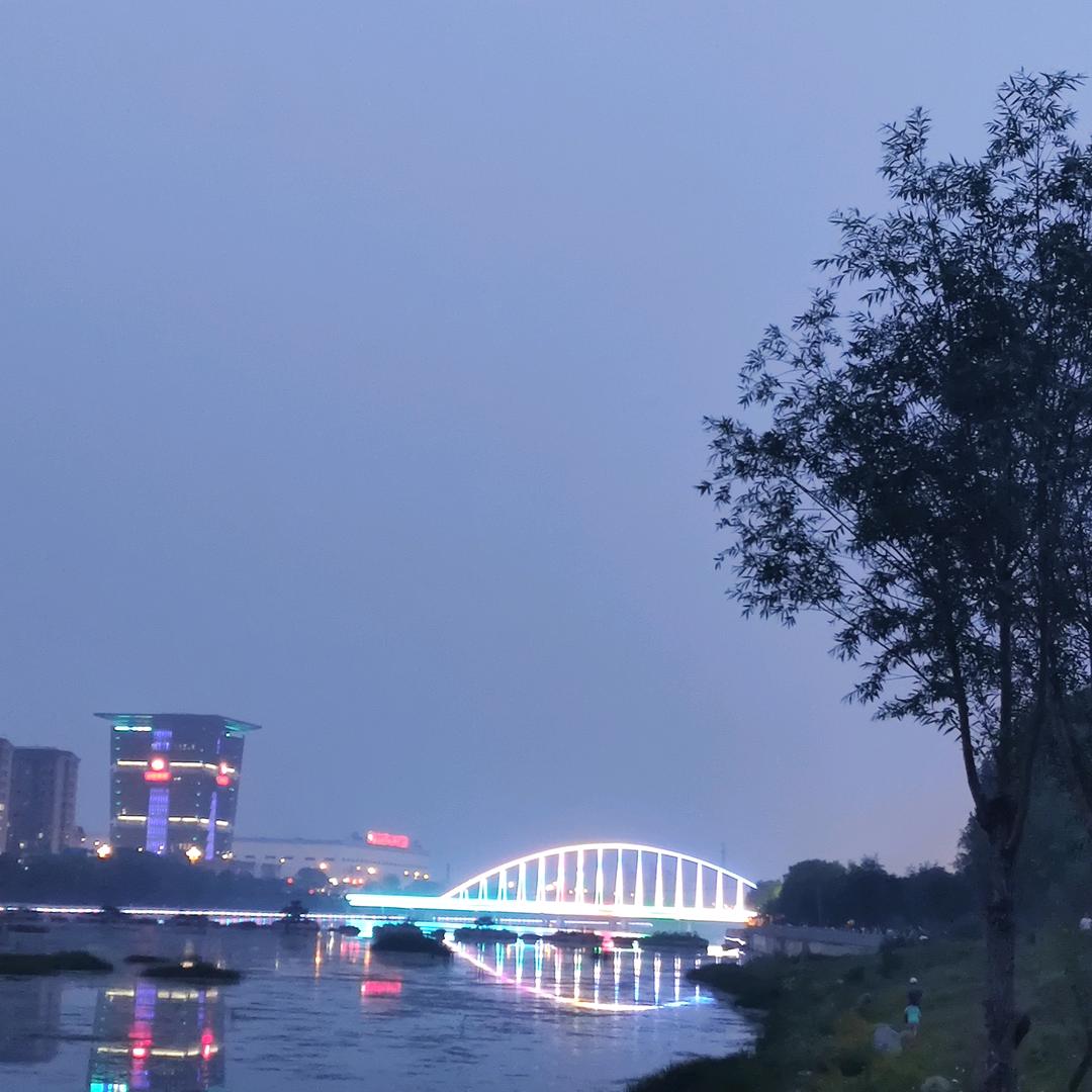 行走的仙人掌🌵