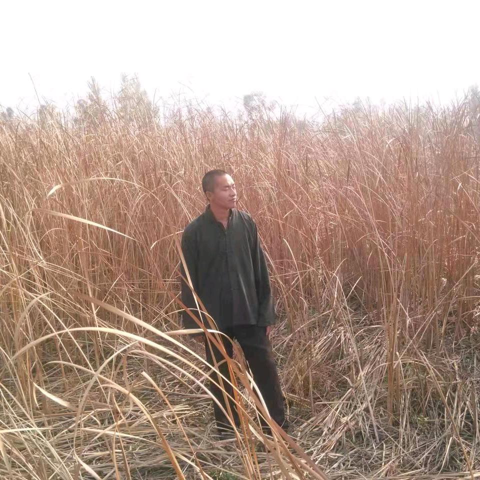 秀才谝陕西