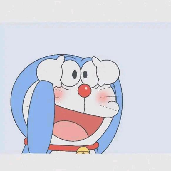 追星小花痴