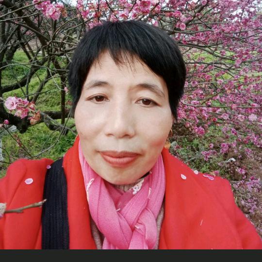 铿锵红玫瑰.