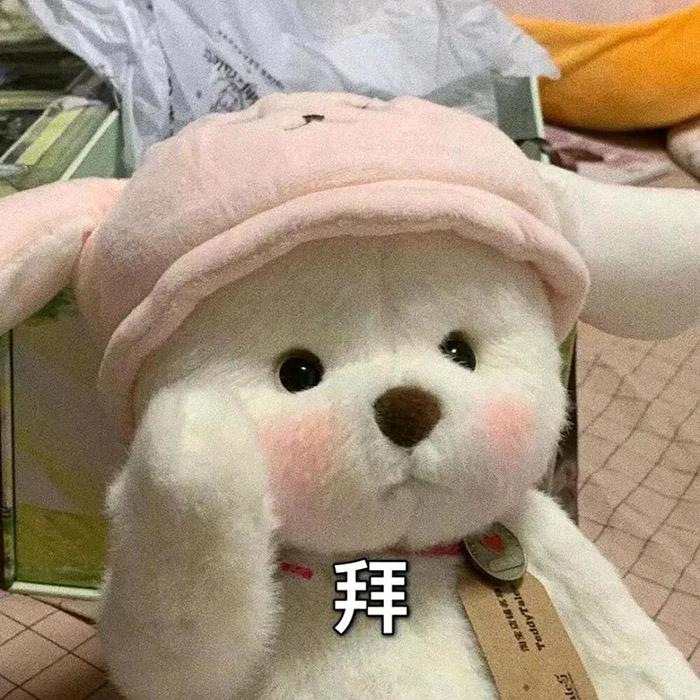 白小白