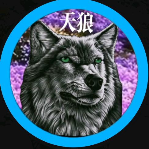 天狼6668