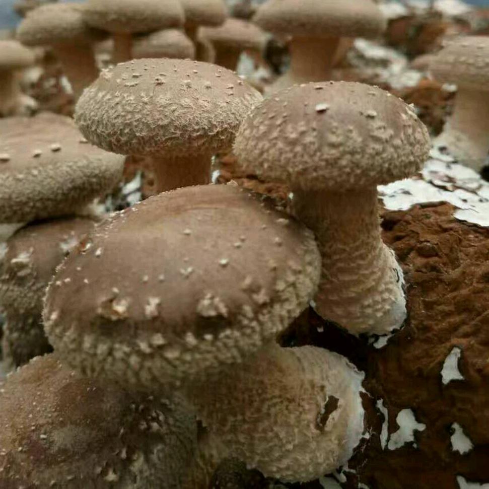 ω今生多指教