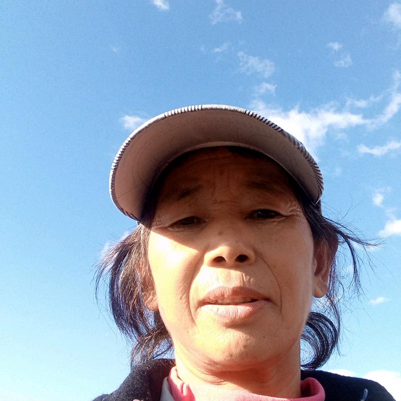 用户43042830张兰珍
