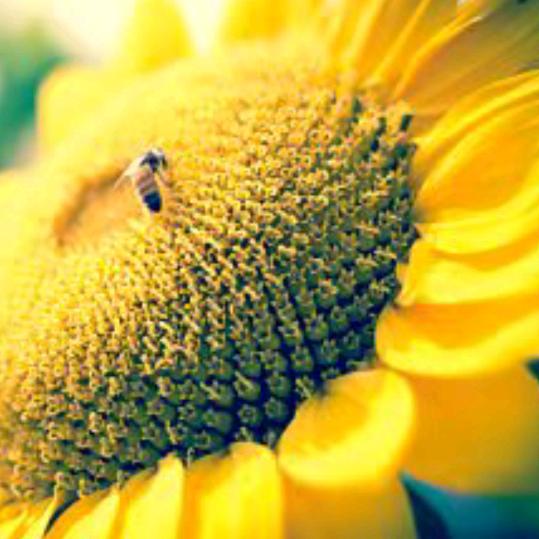 微笑是人类最美的语言