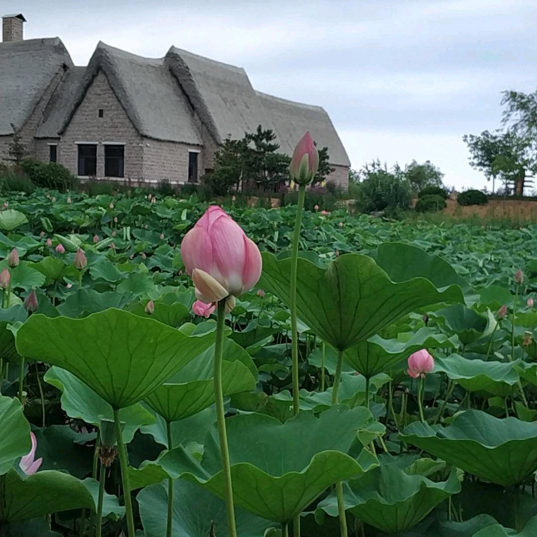 润东房产今夕何兮