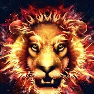 小狮子🦁️