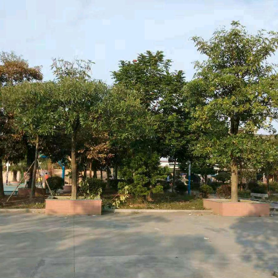 未来更好