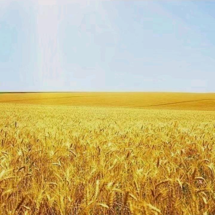 范范       ❀(❀╹◡╹)❀