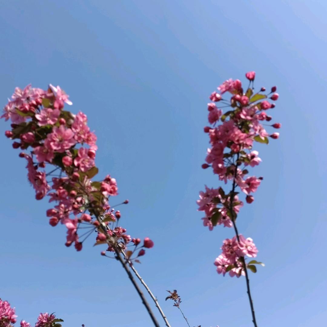 张~～明