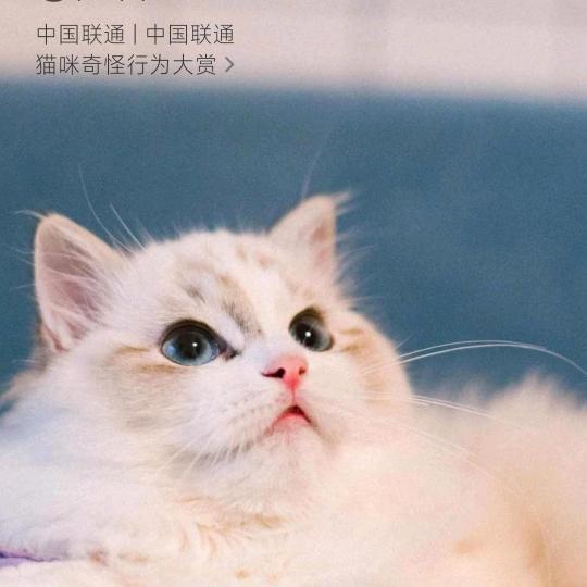 曾经过往