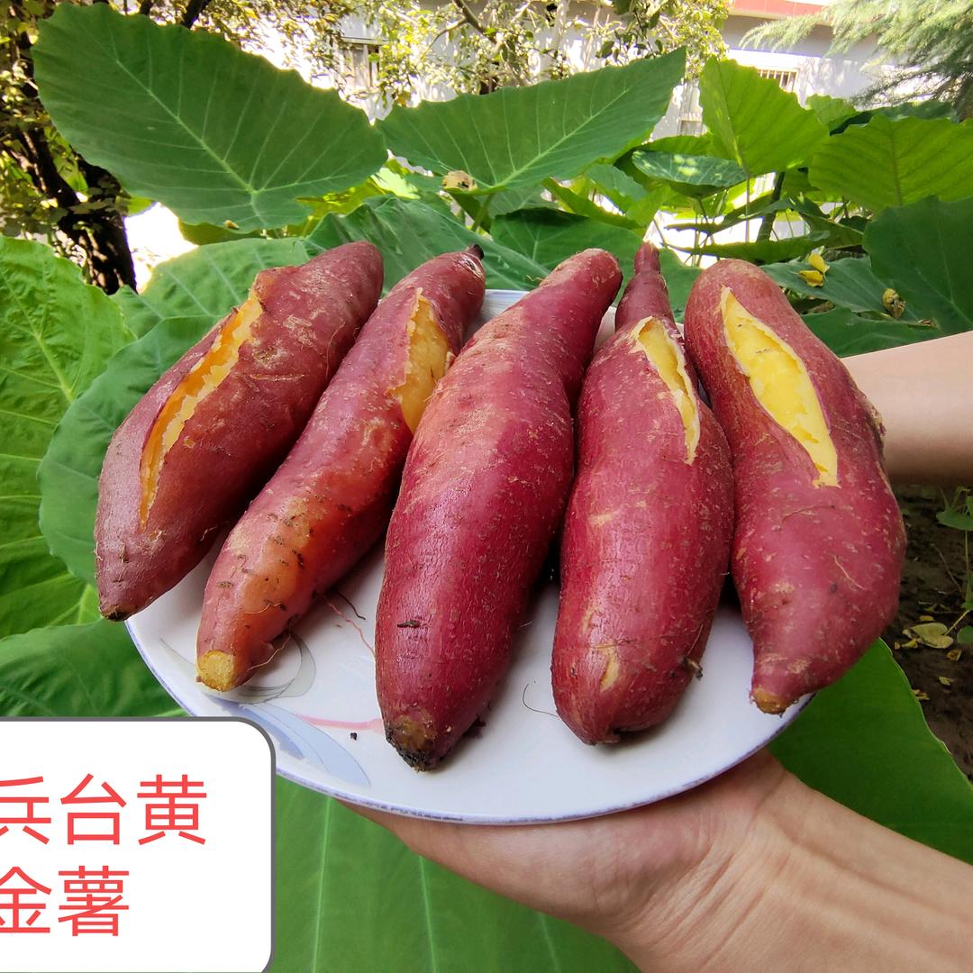 红