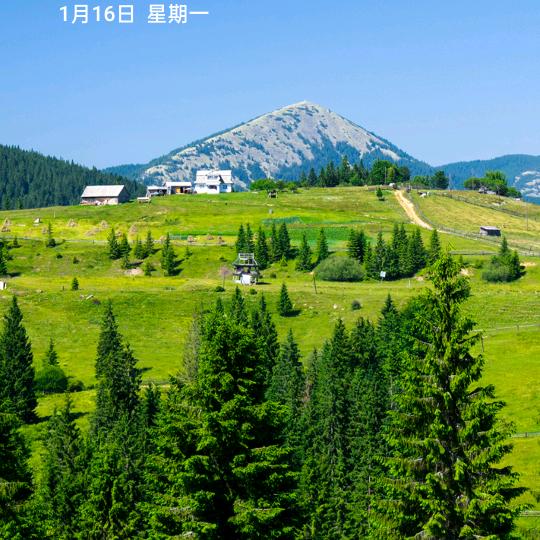 叶子的温柔