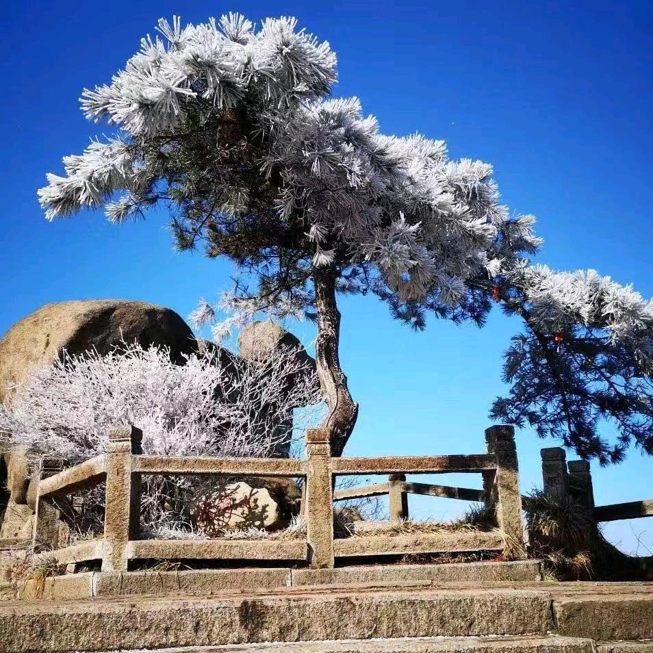 拼搏～