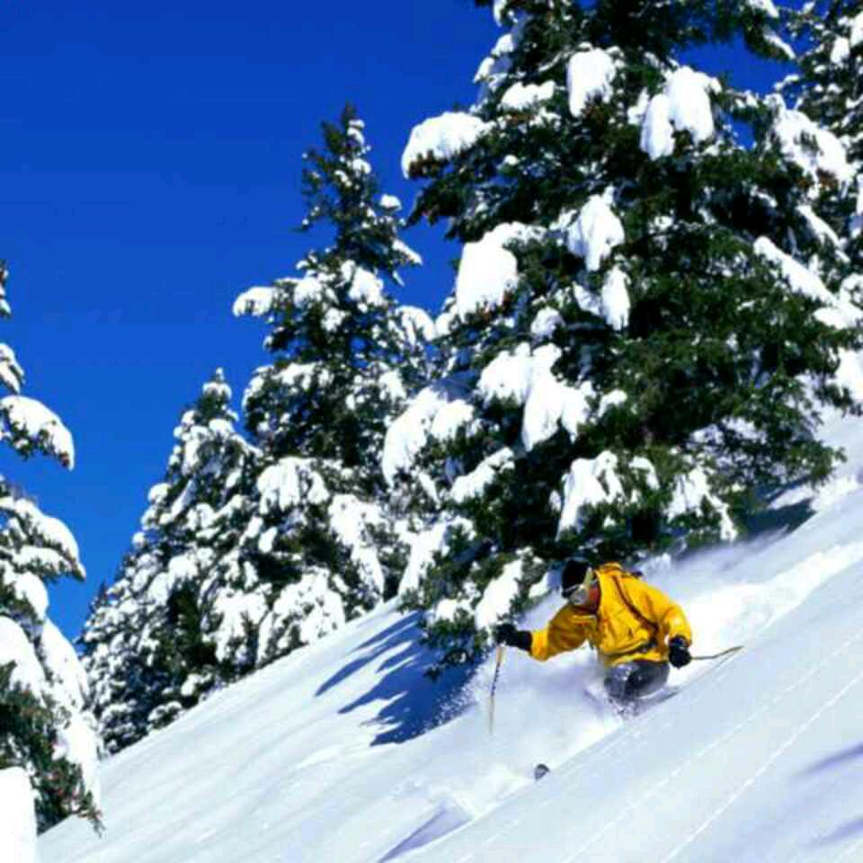 雪山来客