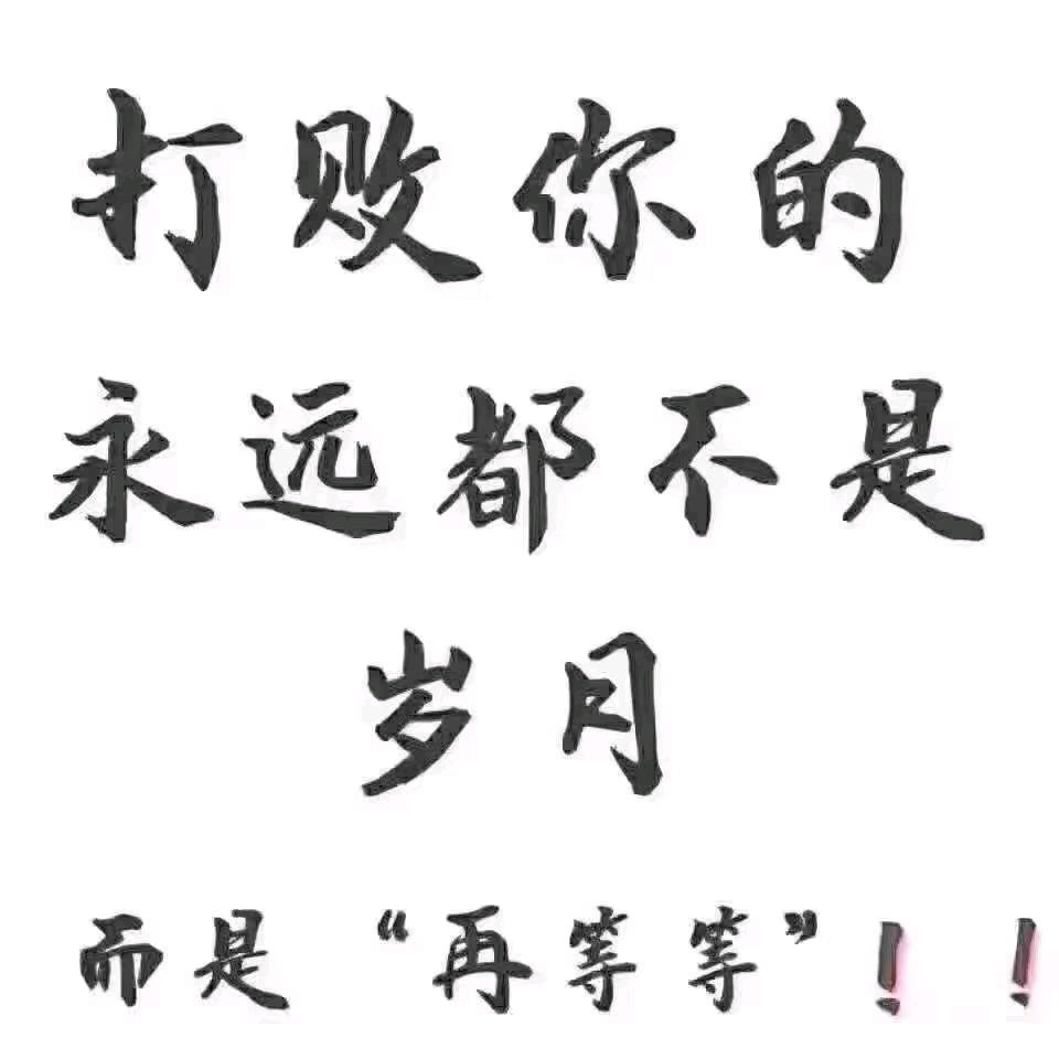 布丁