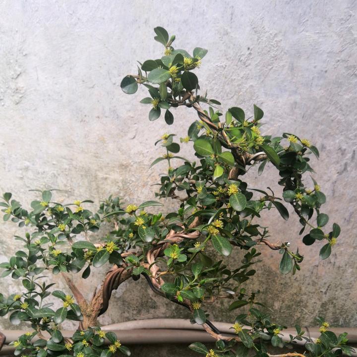 默默