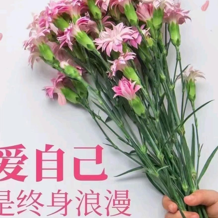 朵朵白云