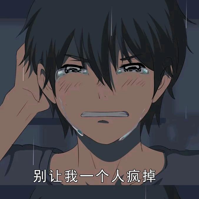 韶 浩