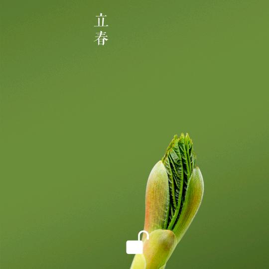 我就是我😌