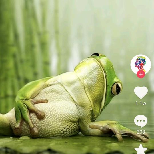 中国🇨🇳🇨🇳🇨🇳🇨🇳🇨