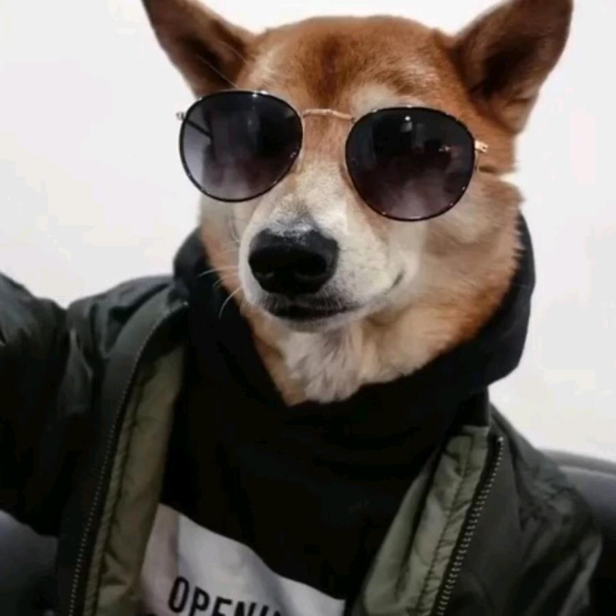 铜锣烧