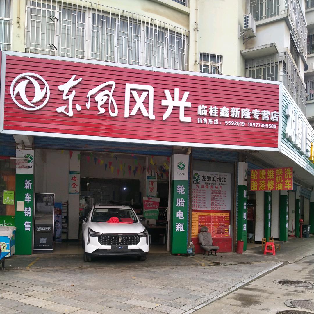 临桂鑫新隆汽车销售