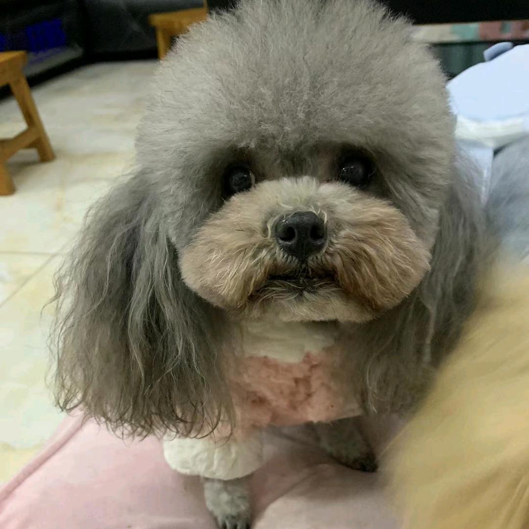 弋凌