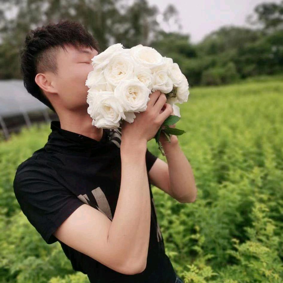 阳江园艺