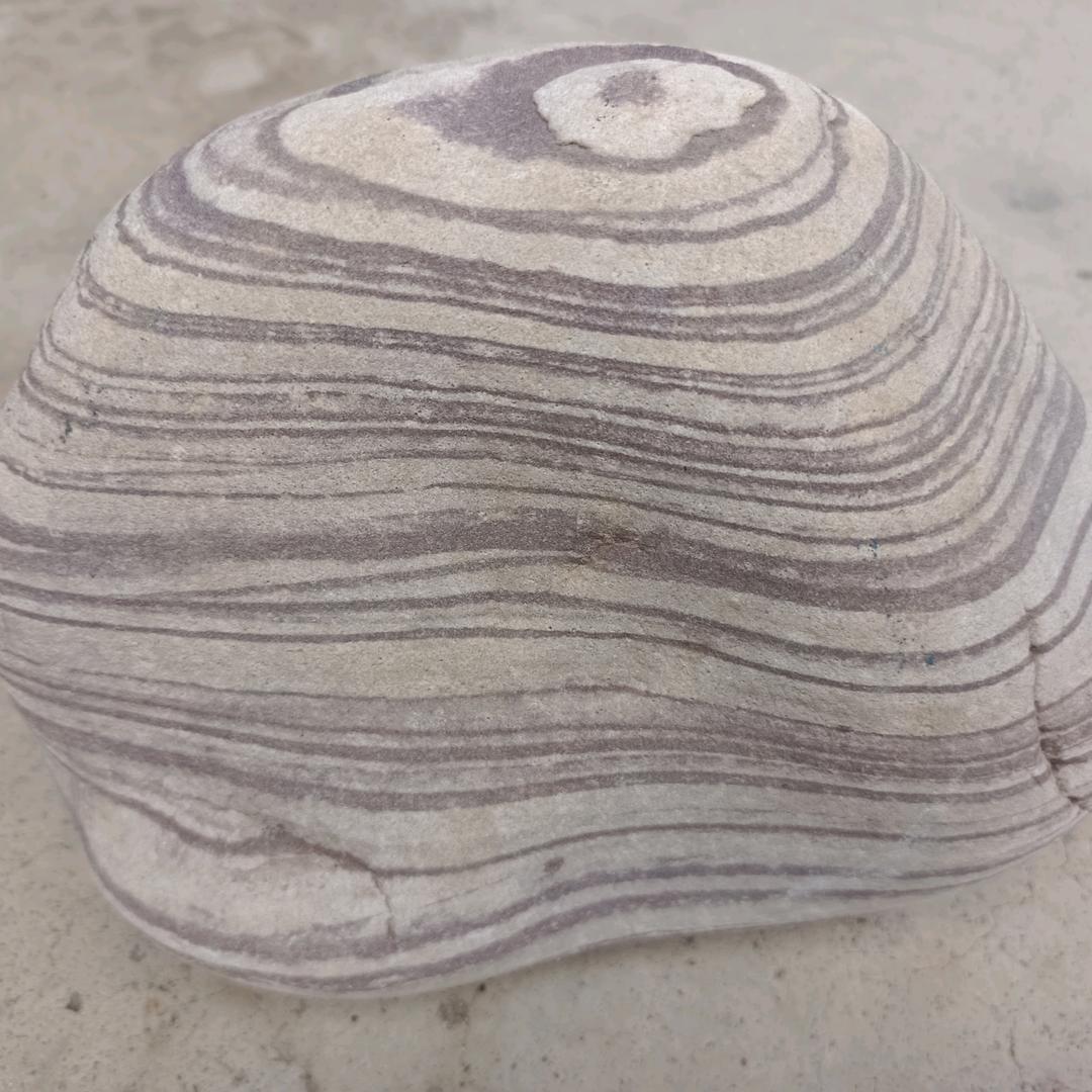 秋风又起