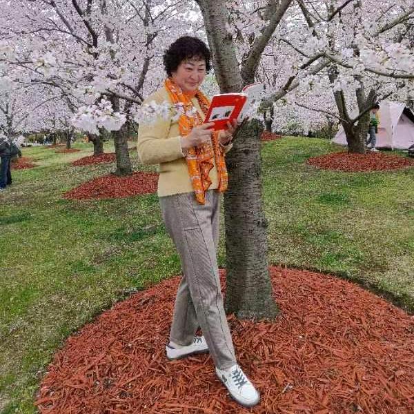 翠屏