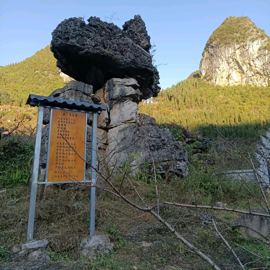 董老师不懂