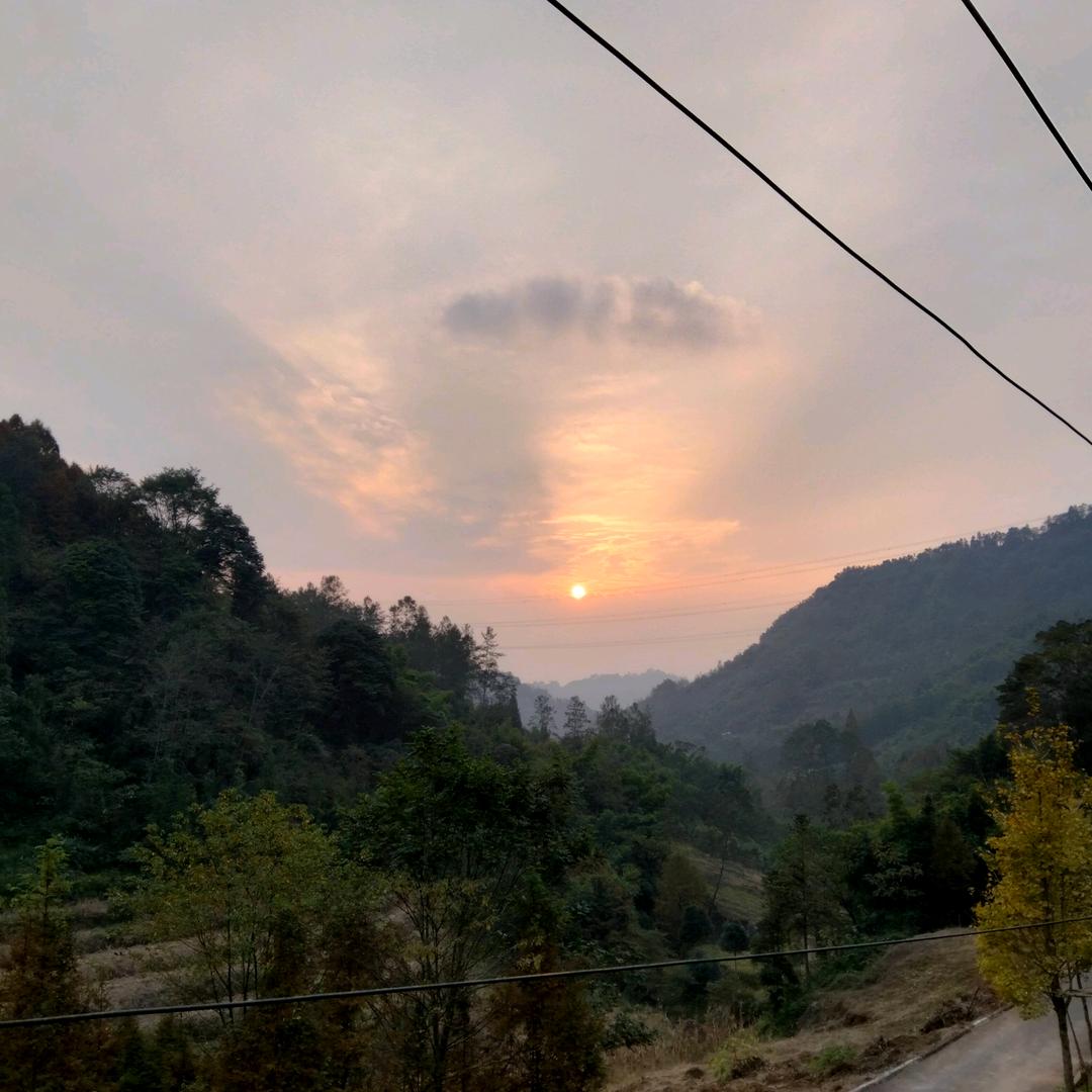 🌹一切靠自己✌