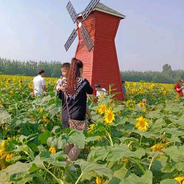 古今如梦