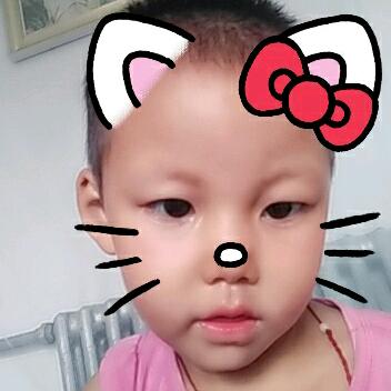 可爱的小兔