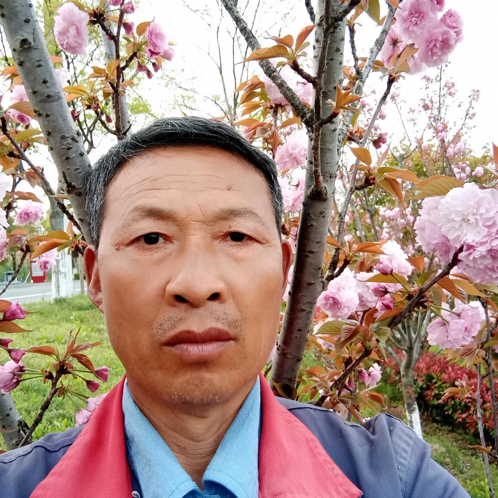 欲霸天%下
